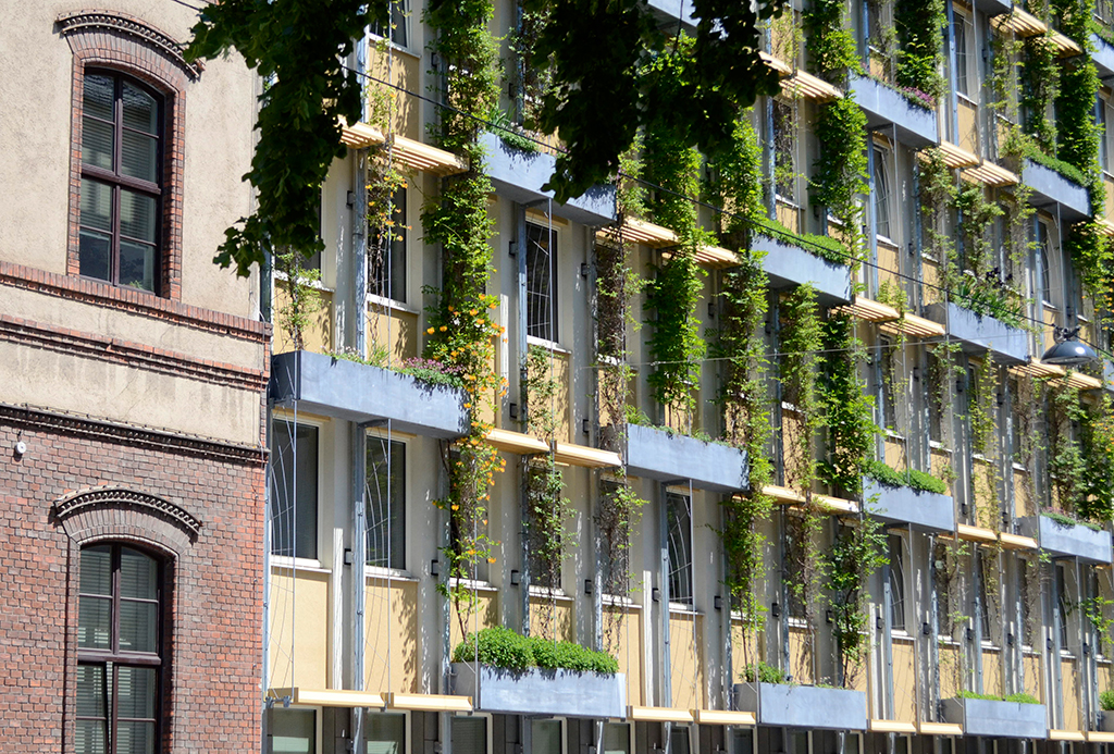 Vertikaler Garten mit Fassadensanierung am Amtshaus der 60-er